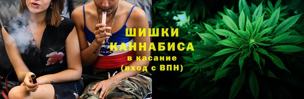 ГАЛЛЮЦИНОГЕННЫЕ ГРИБЫ Абаза
