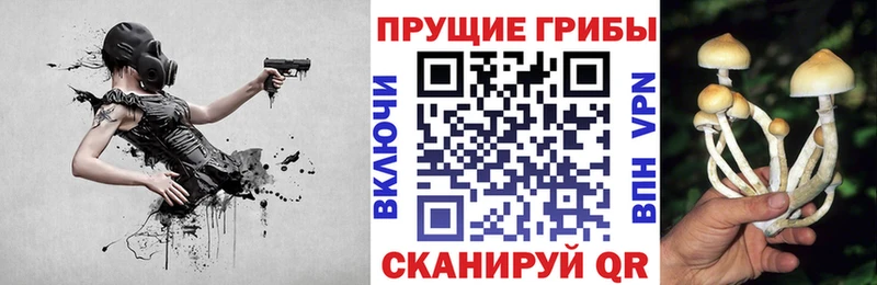 МЕГА ТОР  Курчатов  Галлюциногенные грибы MAGIC MUSHROOMS 